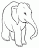 15-elephant